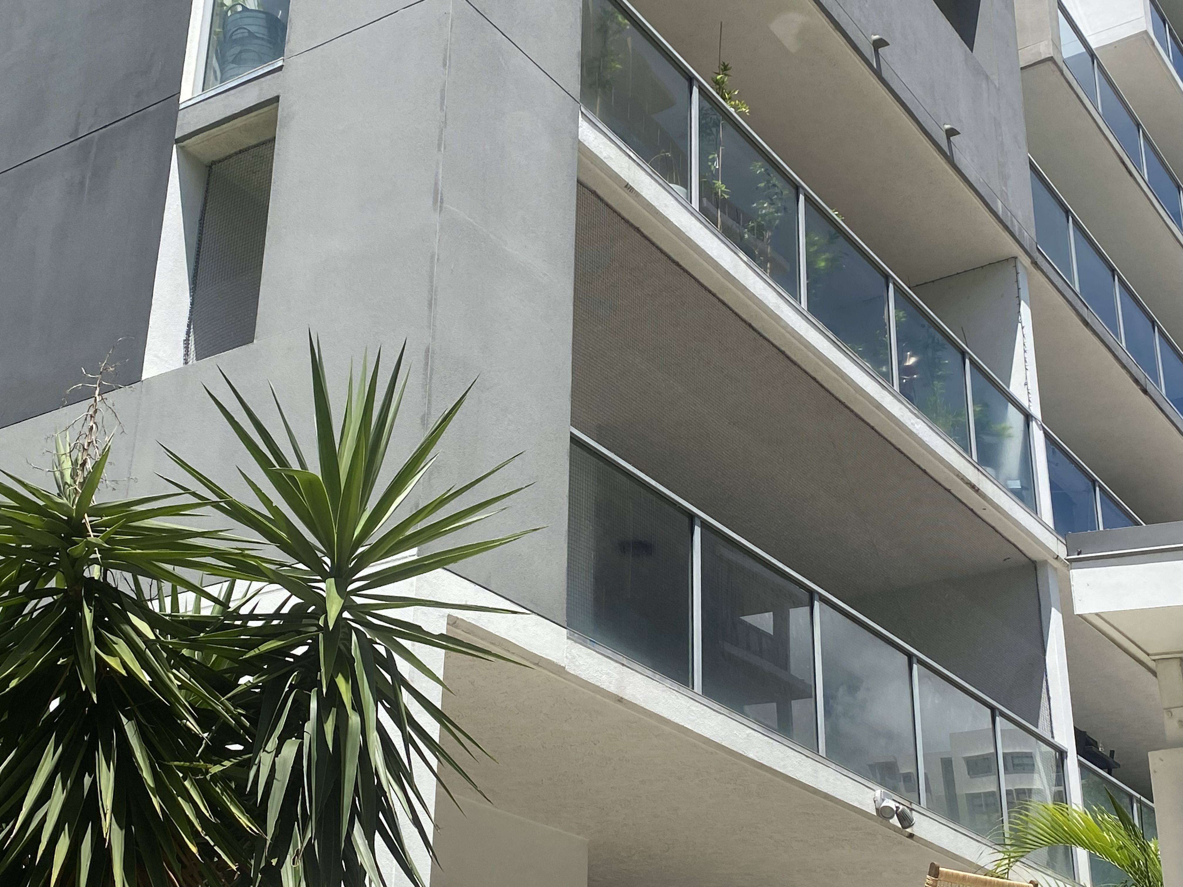 CatEnclosurebalcony